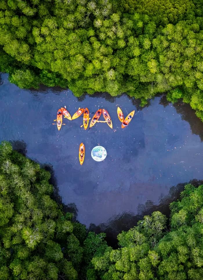 Saligrama Backwater Mangrove Forest slide 3