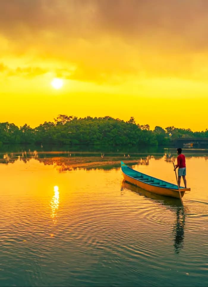 Saligrama Backwater Mangrove Forest slide 1